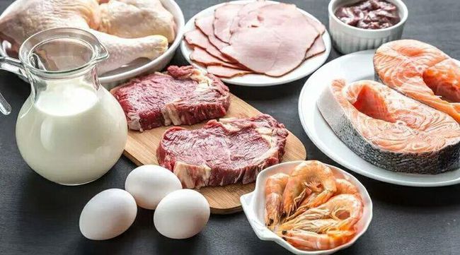 Ăn Nhiều Protein Có Béo Và Gây Hại Cho Gan, Thận Không?