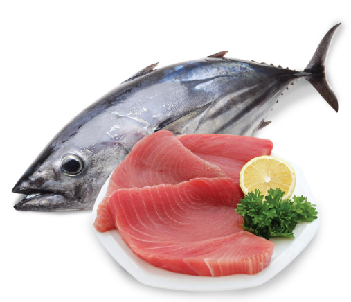 So sánh cá hồi và cá ngừ loại nào tốt hơn theo nhận định chuyên gia?