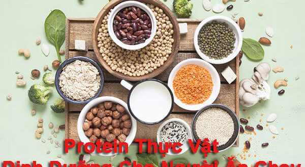 Top 7 Khác Biệt Giữa Protein Động Vật Và Protein Thực Vật Bạn Cần Biết