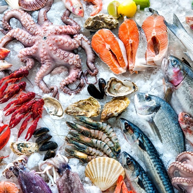 Top 7 loại hải sản ít chứa độc tố thủy ngân nhất