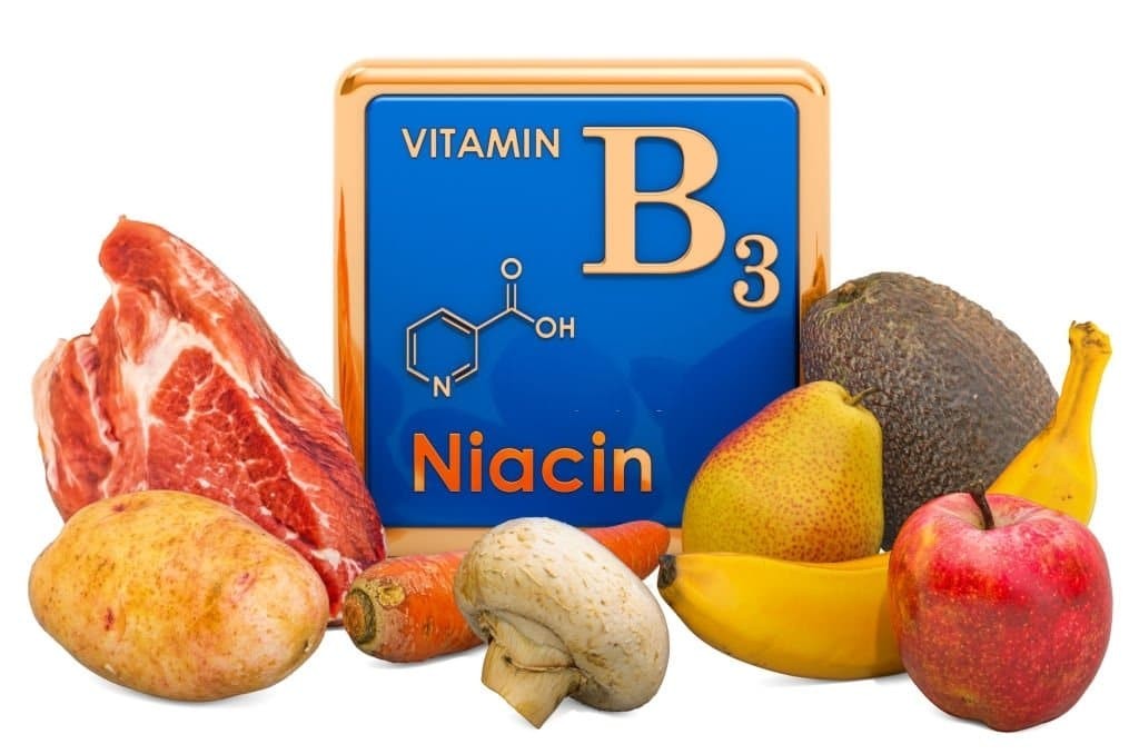 Top 7 loại thực phẩm giàu vitamin B3 (niacin) hỗ trợ tập luyện