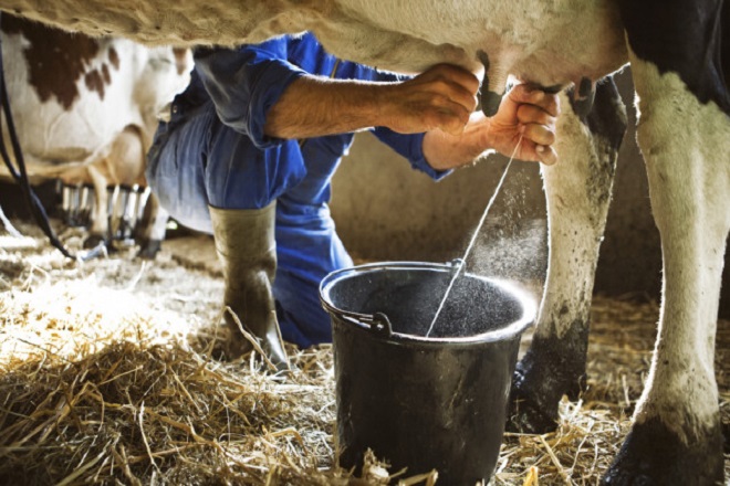 Uống sữa bò có tốt không? Những tác hại của sữa bò bạn cần biết